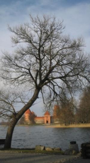 Ezerkiemis Ξενοδοχείο Trakai Εξωτερικό φωτογραφία