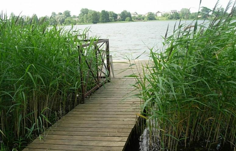 Ezerkiemis Ξενοδοχείο Trakai Εξωτερικό φωτογραφία